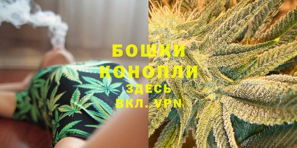 apvp Дмитров