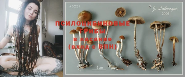 apvp Дмитров