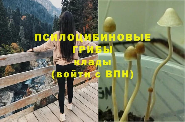 стафф Дмитровск