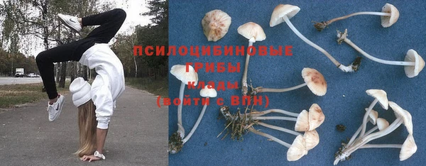 кристаллы Дмитриев