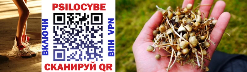 Псилоцибиновые грибы GOLDEN TEACHER  Купить где  Красноперекопск 